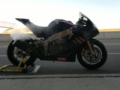 Rauch in alcarras 2011.jpg