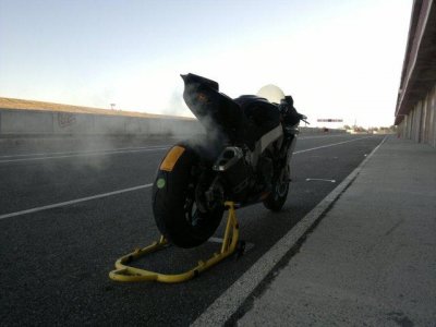 Alcarras am Morgen.jpg