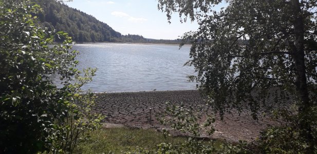 20220825_151218.jpg