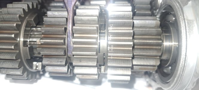 20231116_111616.jpg