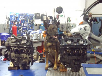 Pooch & RS4 125 002.JPG