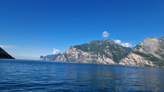 IMG-20240604-WA0004.jpeg