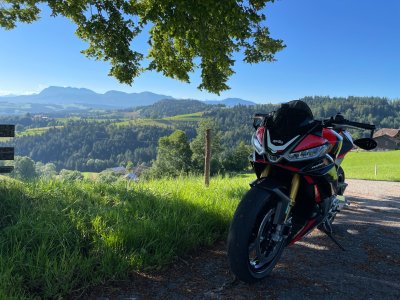 IMG_3180.jpeg