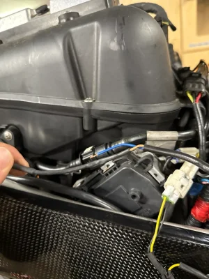 image2.webp