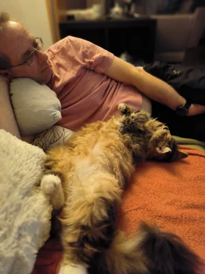 IMG-20260313-WA0003.webp