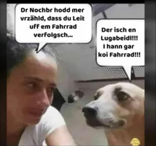 Screenshot_2026-05-20-18-44-11-703_com.whatsapp-edit.webp