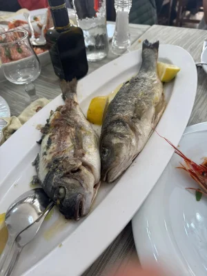 IMG-20260517-WA0063.webp