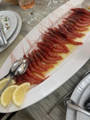 IMG-20260517-WA0056.webp