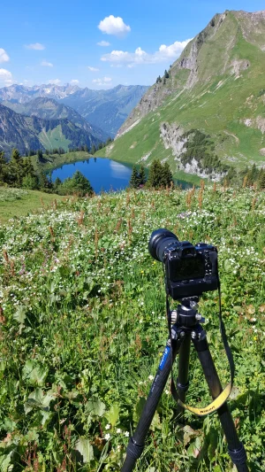 Nebelhorn.webp
