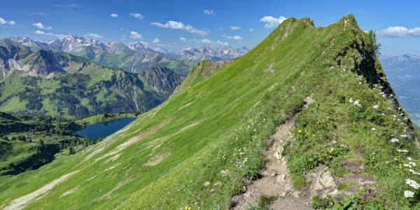 Oberallgäu 001.webp
