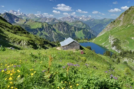 Oberallgäu 003.webp