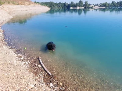 20260624_094127.webp