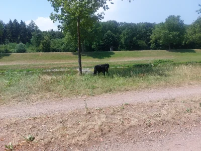 20260628_130558.webp