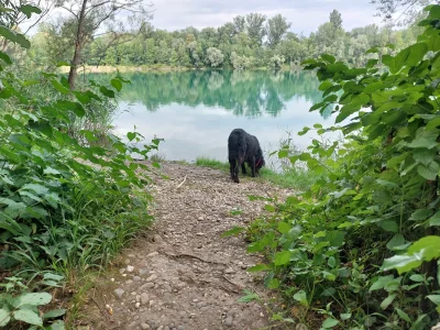 20260801_100916.webp