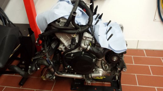 Tuono Motor.jpg