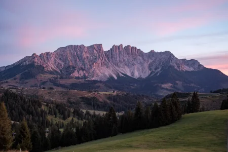 DSCF1135.webp