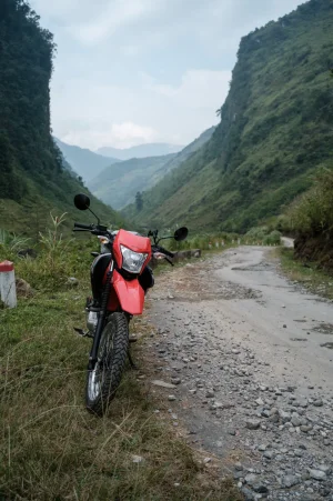 DSCF2540.webp