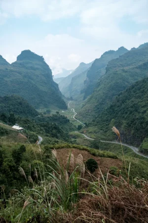 DSCF2570.webp