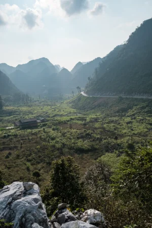 DSCF2681.webp