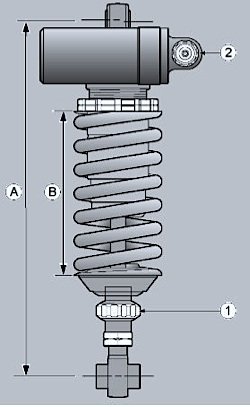 Federbein RSV4 RF.jpg