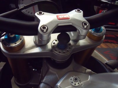Navi halter 001.JPG