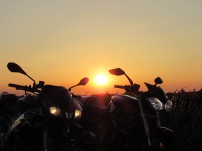 IMG_4461.JPG