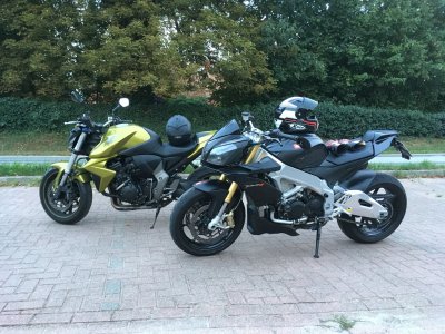 IMG_3486.JPG