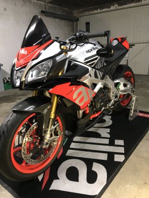 Bella Carbon Bug5.jpg