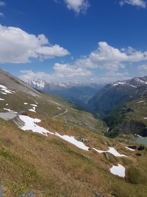 20190613_151800.jpg