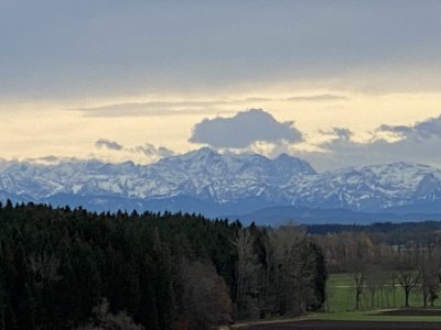 223FE640-E611-436F-9645-5FDADA29D6FC.jpeg