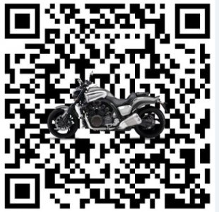 TPMS_3.jpg