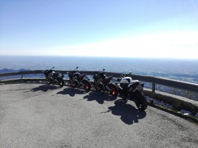 IMG_20201013_132242.jpg