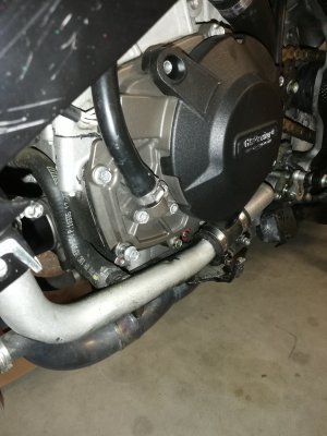 IMG_20201026_175551.jpg