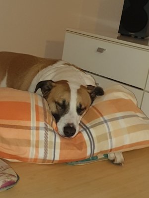 20201223_183527.jpg