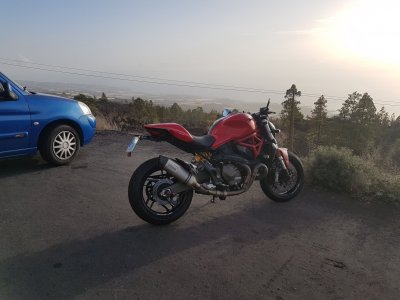 Duc 4.jpg