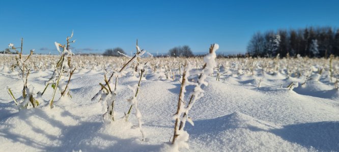 20210110_144031.jpg