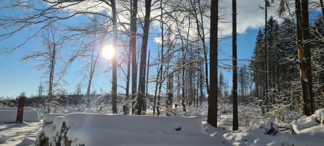 20210110_143042.jpg
