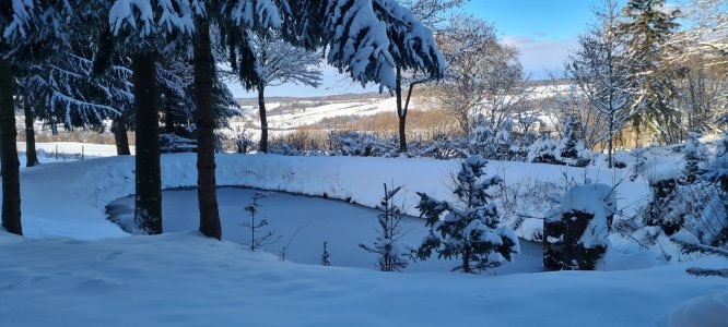 20210110_132837.jpg