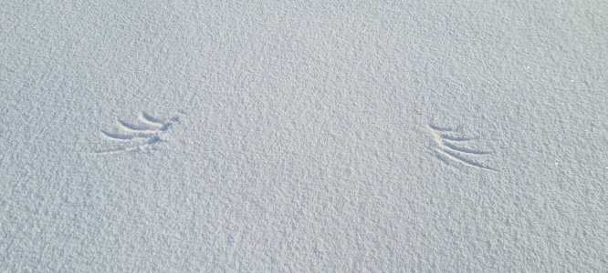 20210110_144430.jpg