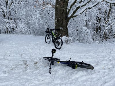 IMG_4626[1].JPG