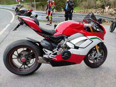 duc1.jpg