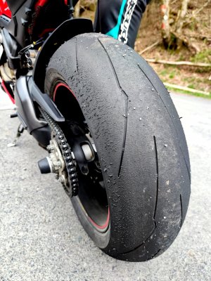 duc.jpg