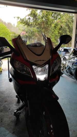 WhatsApp Image 2021-05-31 at 12.35.53.jpeg