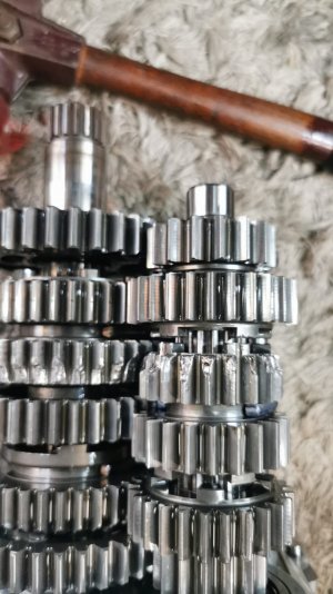 WhatsApp Image 2021-07-18 at 10.08.03.jpeg