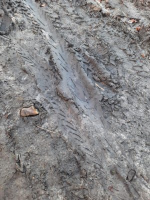 WhatsApp Image 2022-03-01 at 08.19.11.jpeg