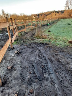 WhatsApp Image 2022-03-01 at 08.19.12.jpeg