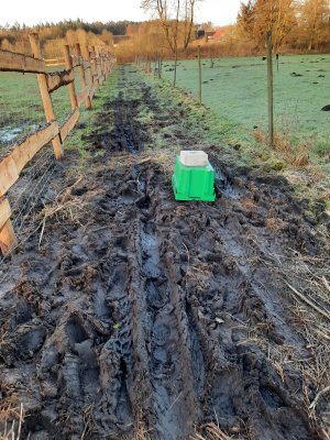 WhatsApp Image 2022-03-01 at 08.19.13.jpeg