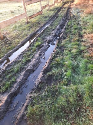 WhatsApp Image 2022-03-01 at 08.19.14.jpeg