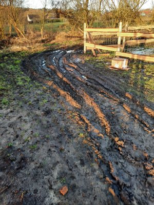 WhatsApp Image 2022-03-01 at 08.19.17.jpeg