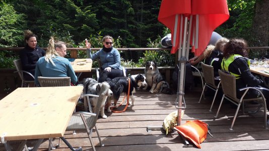 IMG-20220528-WA0007.jpeg